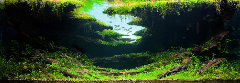 HIDDEN REALM