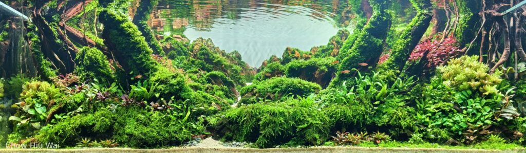Harmony City - Aqua Plants Hub