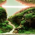 Hidden aquatic realms - Aqua Plants Hub