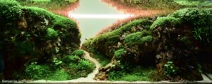 Hidden aquatic realms - Aqua Plants Hub