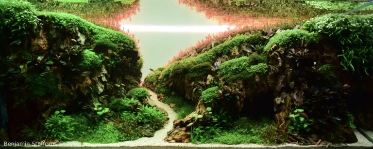 Hidden aquatic realms