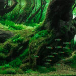 Hideout - Aqua Plants Hub
