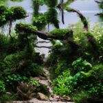 Hold on - Aqua Plants Hub