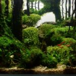 Infinity light - Aqua Plants Hub