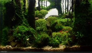 Infinity light - Aqua Plants Hub