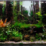 Kartajaya recovery - Aqua Plants Hub