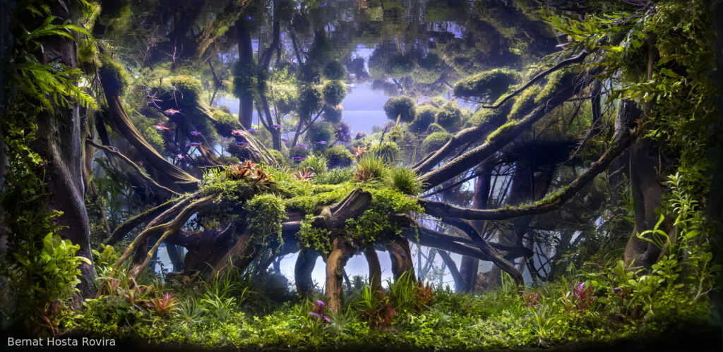 LA GREVOLOSA - Aqua Plants Hub