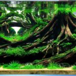 Layout 1192 - Aqua Plants Hub