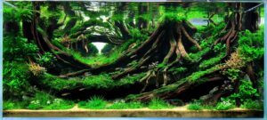 Layout 1192 - Aqua Plants Hub