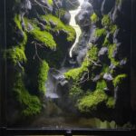 Layout 1199 - Aqua Plants Hub