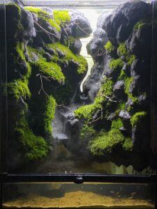 Layout 1199 - Aqua Plants Hub