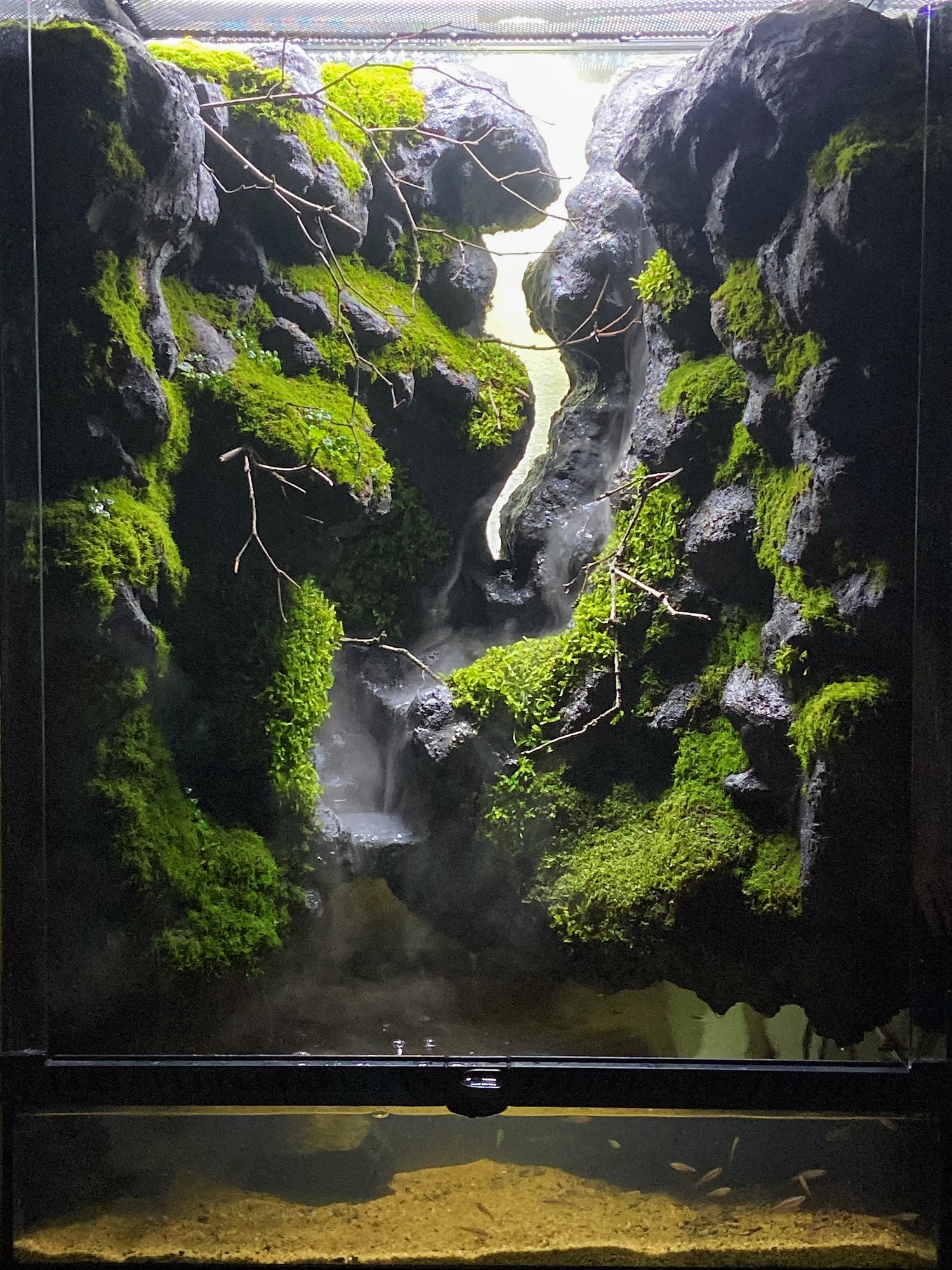 Layout 1199 - Aqua Plants Hub