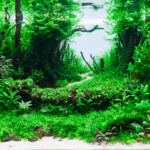 Layout 1241 - Aqua Plants Hub