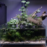 Layout 1256 - Aqua Plants Hub