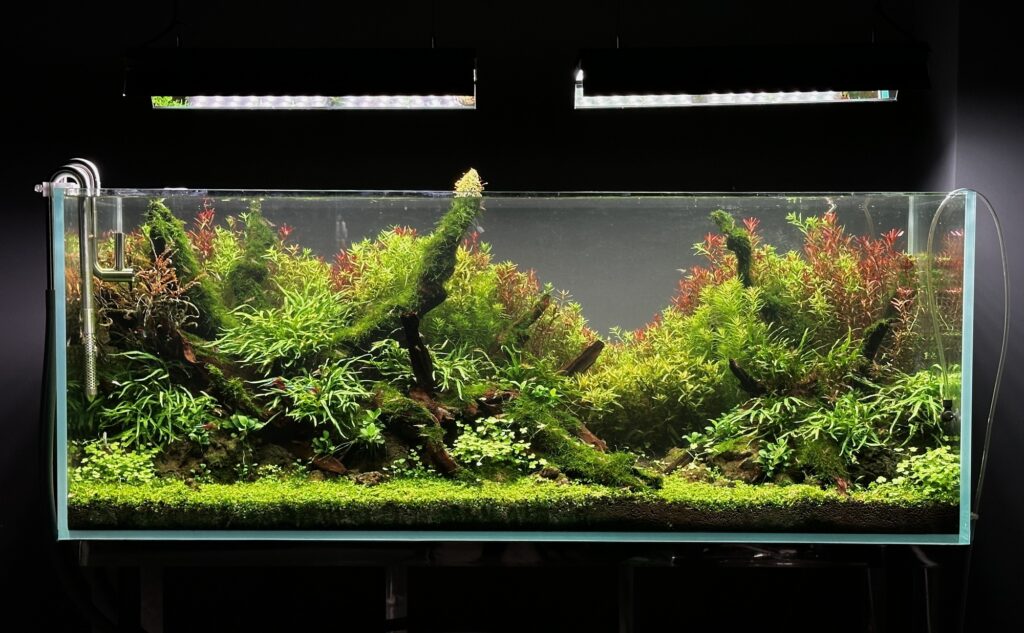 Layout 1324 - Aqua Plants Hub