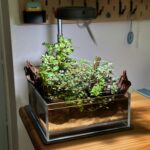 Layout 1326 - Aqua Plants Hub
