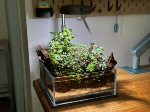Layout 1326 - Aqua Plants Hub