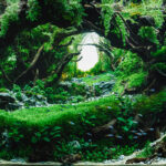 Lost World - Lost World (AGA 2025 #1010) - Aqua Plants Hub