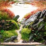 MIDGARD - Aqua Plants Hub