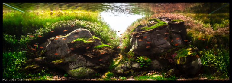 Made of Stone