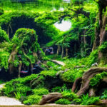 Mistbound Eternity - Aqua Plants Hub
