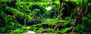 Mistbound Eternity - Aqua Plants Hub