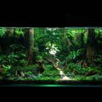 Mossy Forest - Aqua Plants Hub