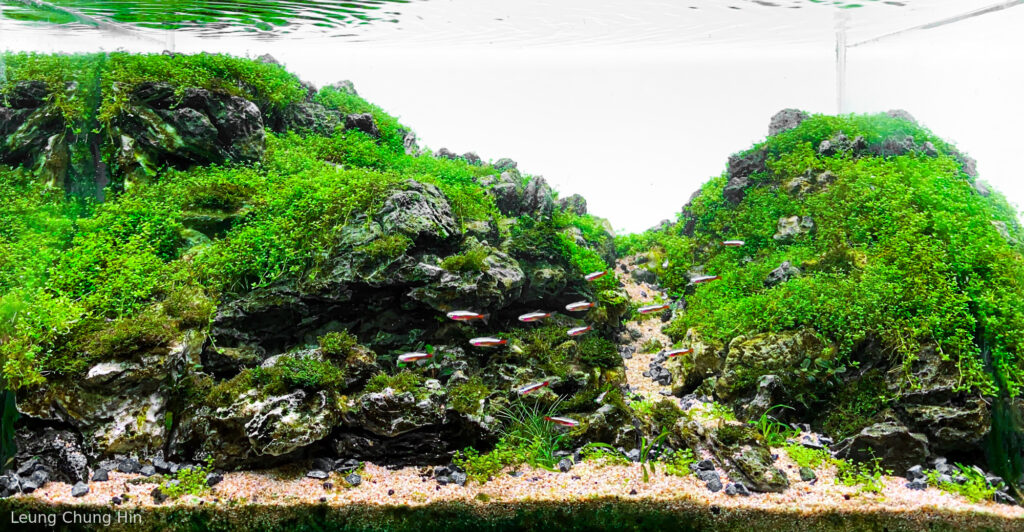 Mountain Depth 2 - Aqua Plants Hub