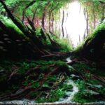 Nature Xscape - Aqua Plants Hub
