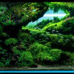 Pursuit - Aqua Plants Hub