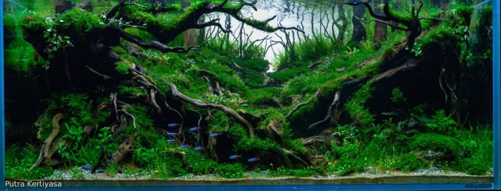 RESOUNDING - Aqua Plants Hub