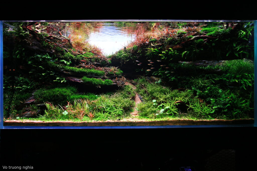 Return to Nature - Aqua Plants Hub