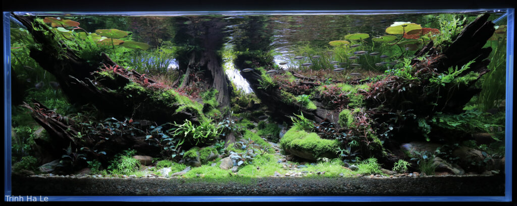 Silent Resilience - Aqua Plants Hub