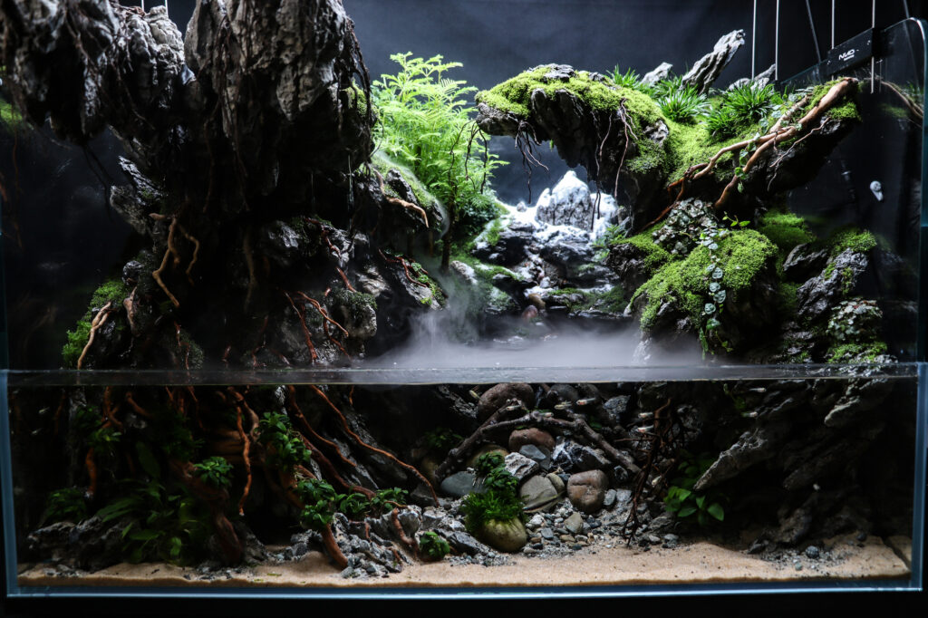 Starry Silences - Aqua Plants Hub