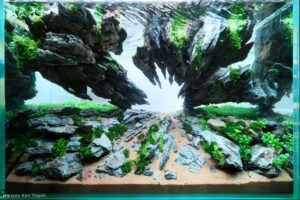 Stone Breathing - Aqua Plants Hub