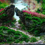 Stronger together - Aqua Plants Hub