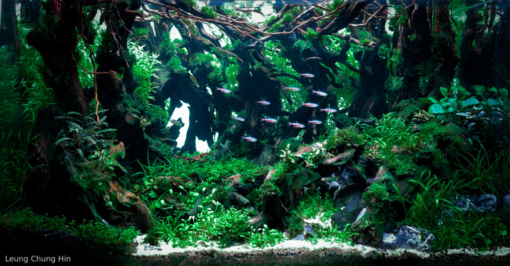 Subway - Aqua Plants Hub