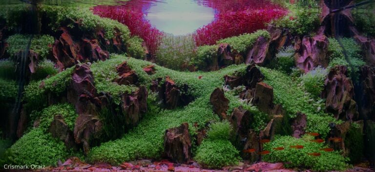 Sunken garden