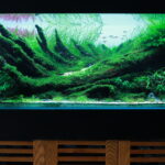 THE PATHWAY - Aqua Plants Hub