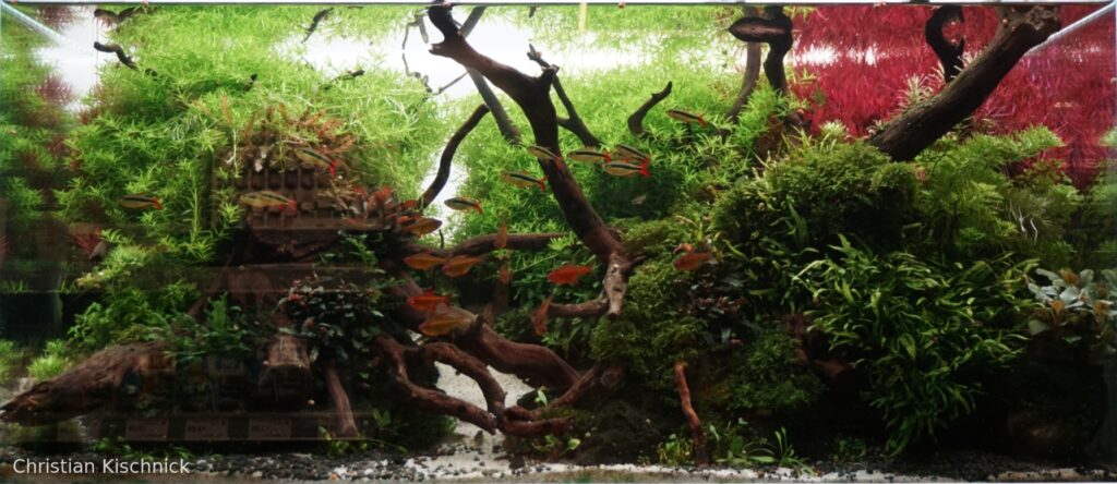 Temple of Time - Aqua Plants Hub
