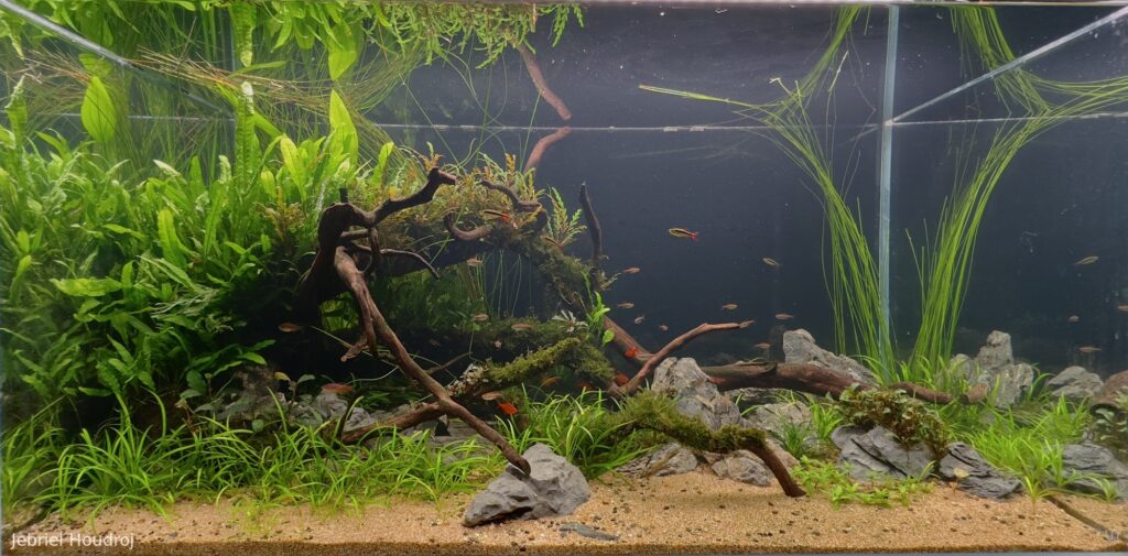 The Archipelago - Aqua Plants Hub