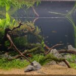 The Archipelago - Aqua Plants Hub