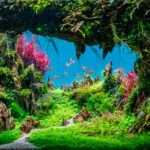 The Depth - Aqua Plants Hub
