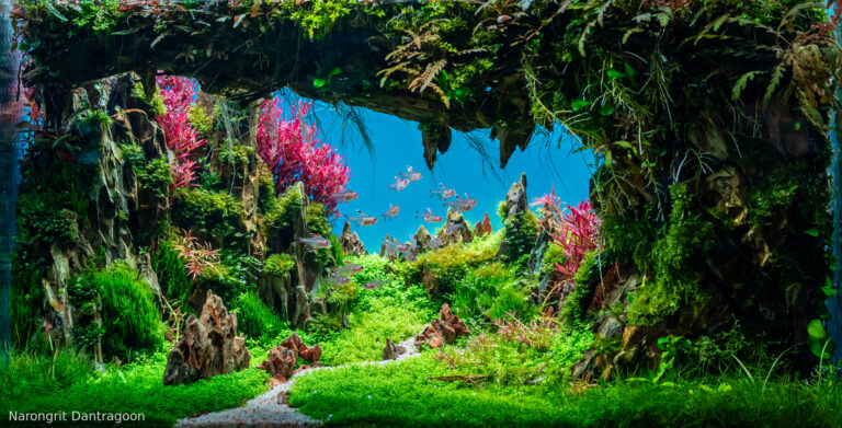 The Depth