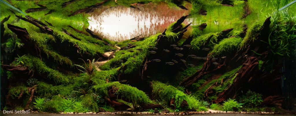 The Forgotten Eden - Aqua Plants Hub
