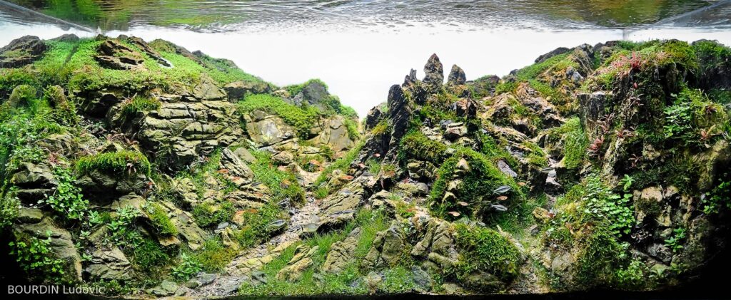 The Higlands Paths-Part 1 - Aqua Plants Hub