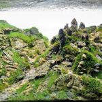 The Higlands Paths-Part 1 - Aqua Plants Hub