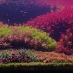 The New Era - Aqua Plants Hub
