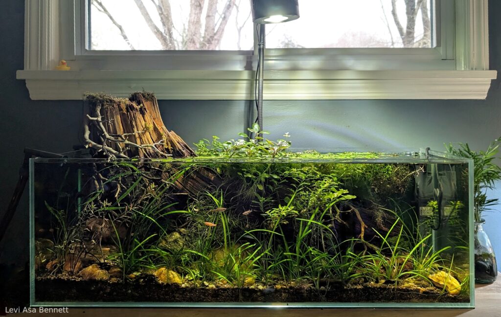 The North Fork - Aqua Plants Hub