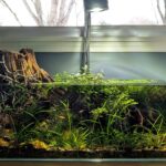 The North Fork - Aqua Plants Hub